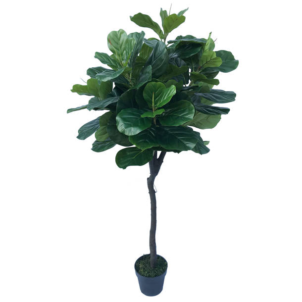 Ophelia & Co. Artificial Silk Vine Wisteria Stem & Reviews Wayfair